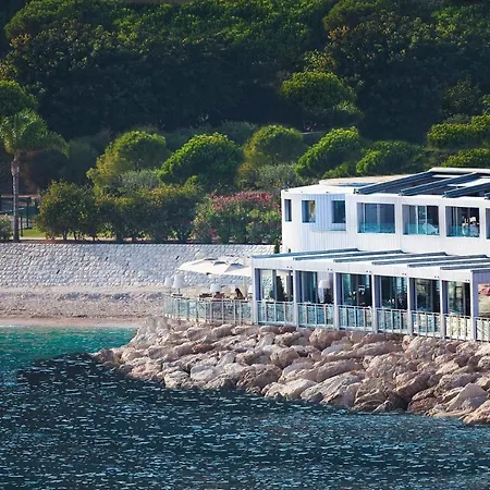 公寓 Wonderfull View Cap D Ail Monaco